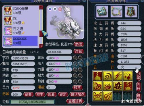 梦幻西游二狗爆料完整视频,揭秘游戏内幕与精彩瞬间