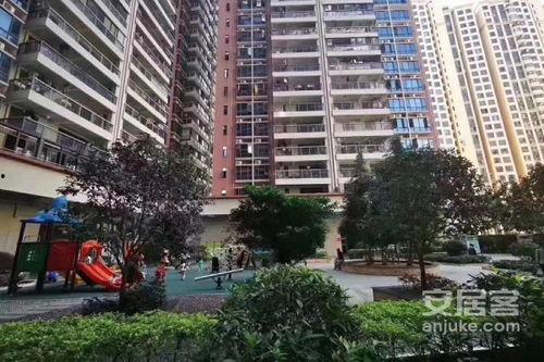 龙华31栋网红,揭秘网红楼背后的故事与魅力