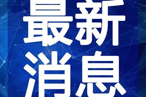 爆料汕头腌菜视频大全最新