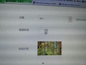 头条视频如何填写标签,轻松提升内容曝光度