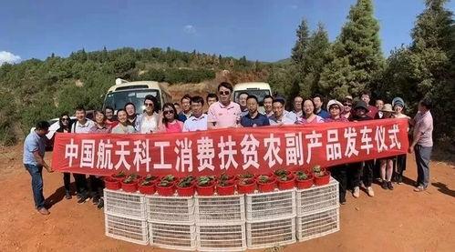阜阳乌龙镇新闻头条,真相揭秘，事件背后惊心动魄！”