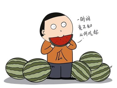 吃瓜英文什么意思,揭秘“吃瓜群众”背后的英文含义