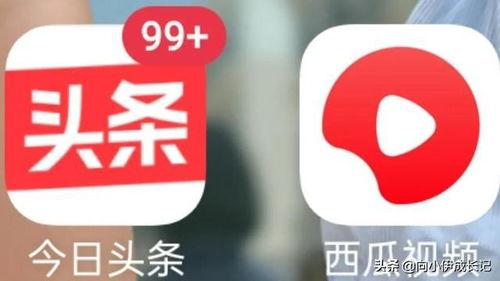 西瓜号和头条,探索新媒体融合新趋势