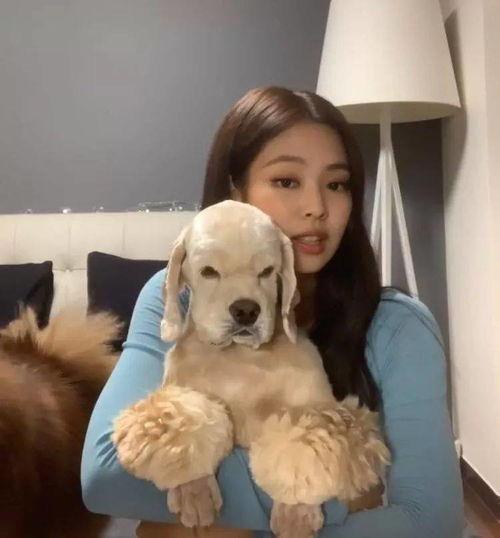 女明星养的宠物,揭秘明星家的温馨宠物日常