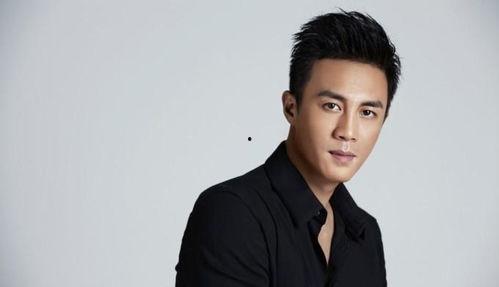 中国明星男帅哥,盘点男明星中的帅气面孔