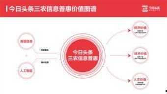 今日头条福建农村视频,传统与现代交融的乡村振兴画卷