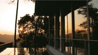 重庆山里的网红民宿店,隐匿于绿意中的诗意栖息地