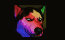 大猴哥最新爆料,娱乐圈最新爆料大起底！