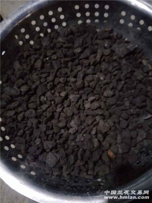 土看料,探寻土地与食材的和谐共生之道