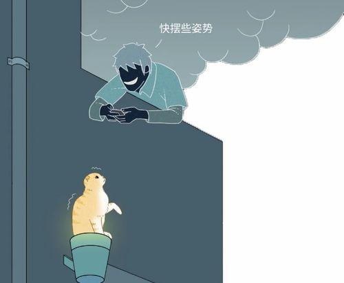 网红猫想飞,空中舞者，网络红人的奇幻之旅