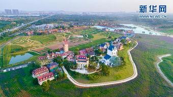 观澜西坑网红打卡地点,探寻深圳网红打卡地的自然魅力