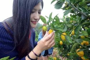 清水县女网红有谁,网络红人风采展示”